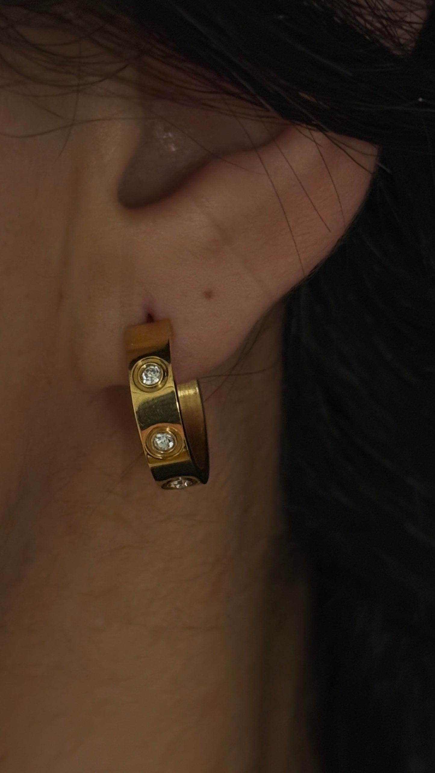 BOUCLES D’OREILLES DIANA